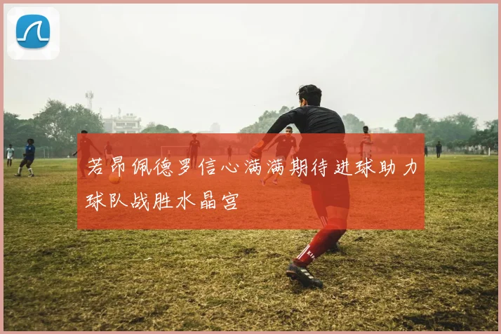 若昂佩德罗信心满满期待进球助力球队战胜水晶宫