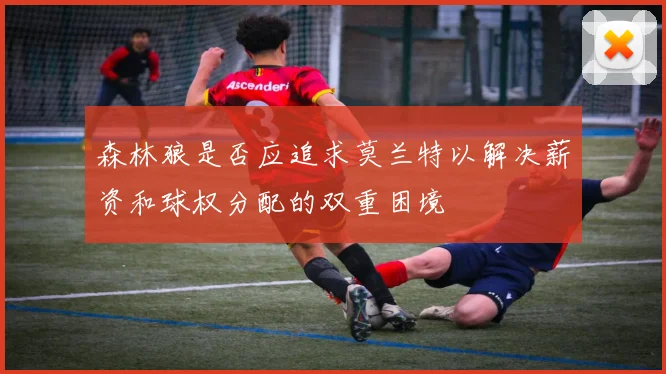 森林狼是否应追求莫兰特以解决薪资和球权分配的双重困境