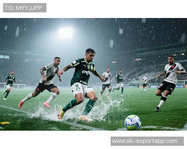 巴甲联赛历史夺冠次数统计帕尔梅拉斯领先弗拉门戈紧随其后